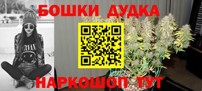 гидра Усть-Джегута