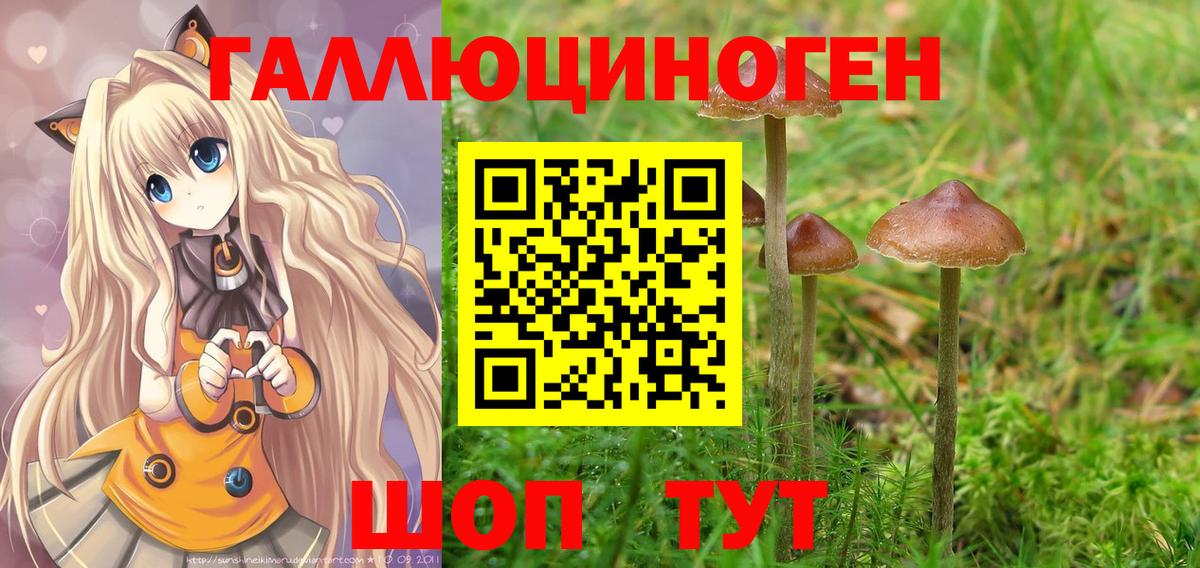Галлюциногенные грибы MAGIC MUSHROOMS Мурманск